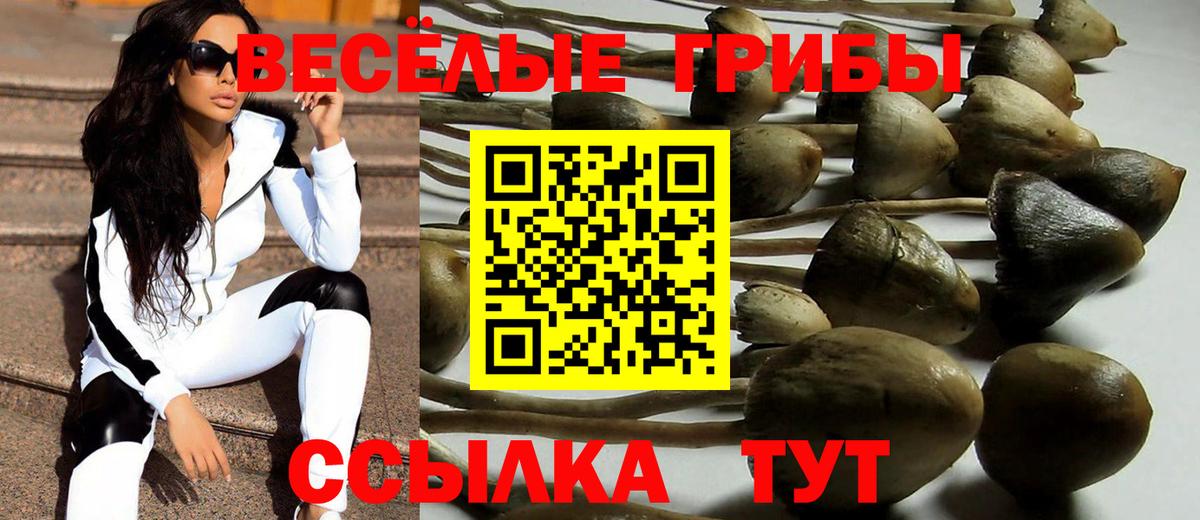 Кимры  наркошоп  Вход с VPN  Псилоцибиновые грибы мухоморы 