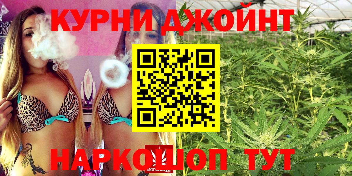 МАРИХУАНА сатива Кимры